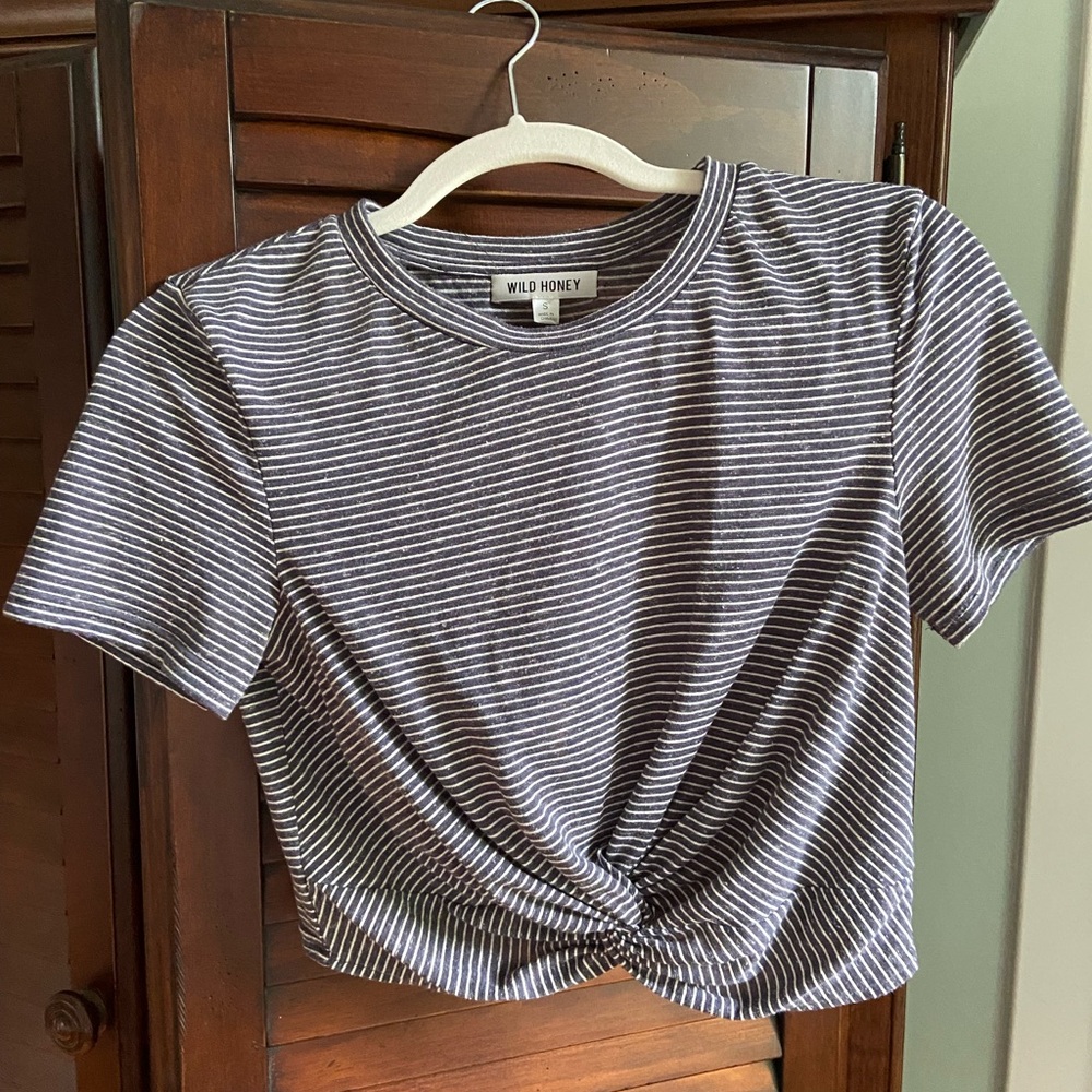 Wild Honey Gray and White Striped Women's Crop Top